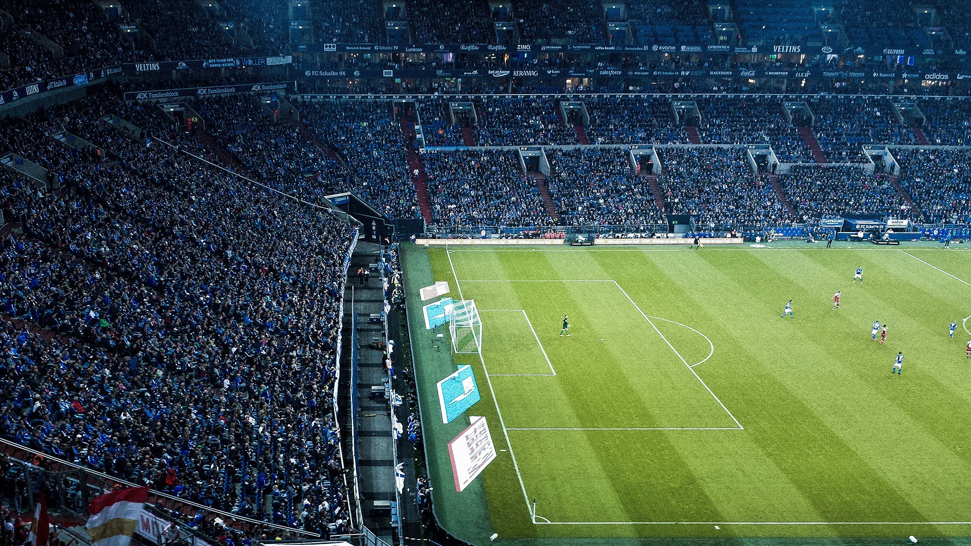 佩拉卡尼尝试新项：蝶泳首秀，卡拉佩蒂安游泳