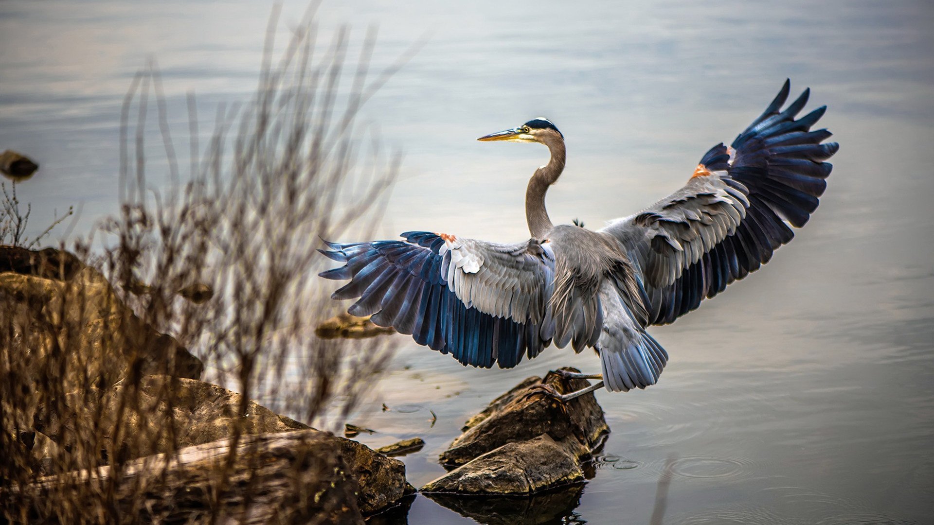 史上最“燃”季后赛夜战，哪一场让你血脉喷张？，季后赛最后一场
